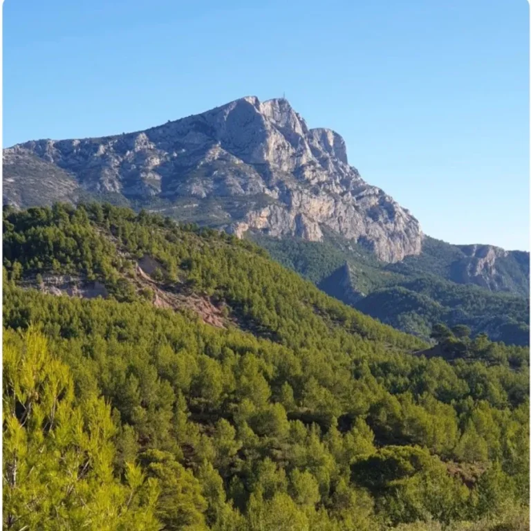 hotel-les-grands-carmes-montagne-sainte-victoire